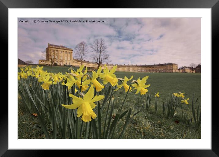 Daffodils at the Royal Crescent Bath landscape  Framed Mounted Print by Duncan Savidge