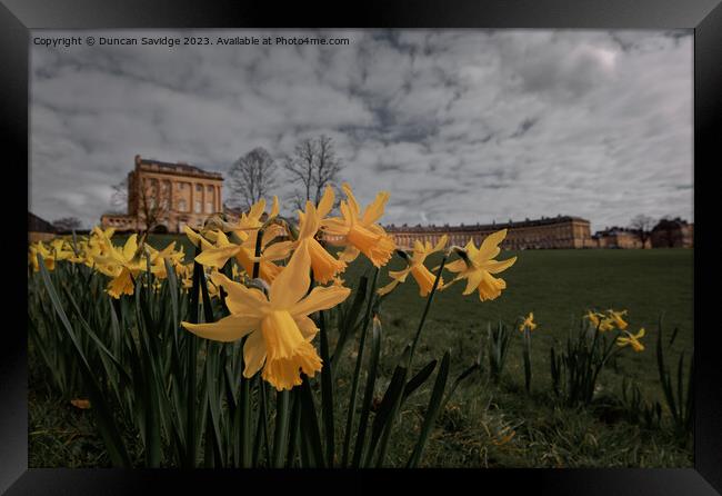 Daffodils at the Royal Crescent Bath cinematic edit  Framed Print by Duncan Savidge