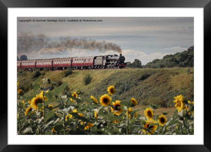 Steam trains and sunflower fields  Framed Mounted Print by Duncan Savidge
