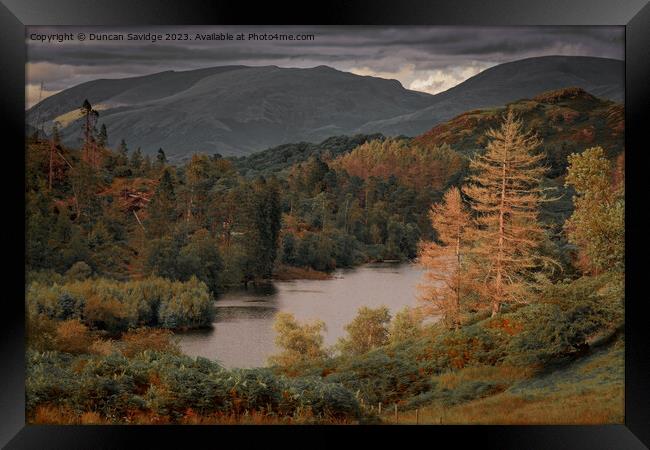 Tarn Hows in the lake district  Framed Print by Duncan Savidge