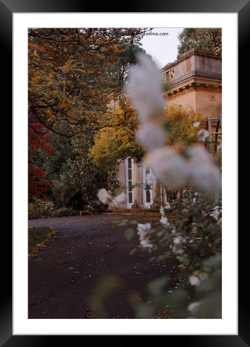 Autumn in Botanical Gardens in Bath Framed Mounted Print by Duncan Savidge