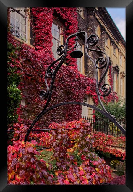 Queens Square Bath in Autumn Framed Print by Duncan Savidge
