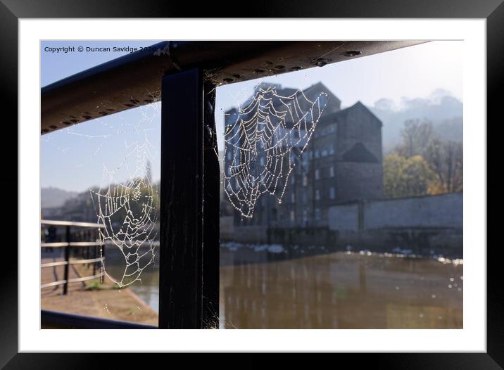 Misty Autumn spider web along the River Avon Bath Framed Mounted Print by Duncan Savidge