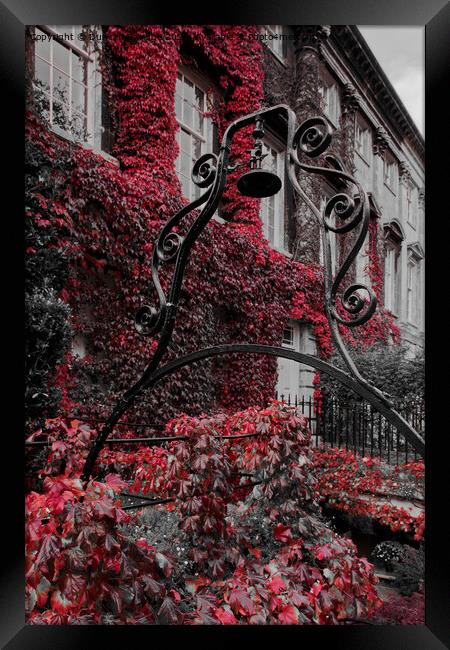 Autumn at Queens Square Bath as the Ivy turns red  Framed Print by Duncan Savidge