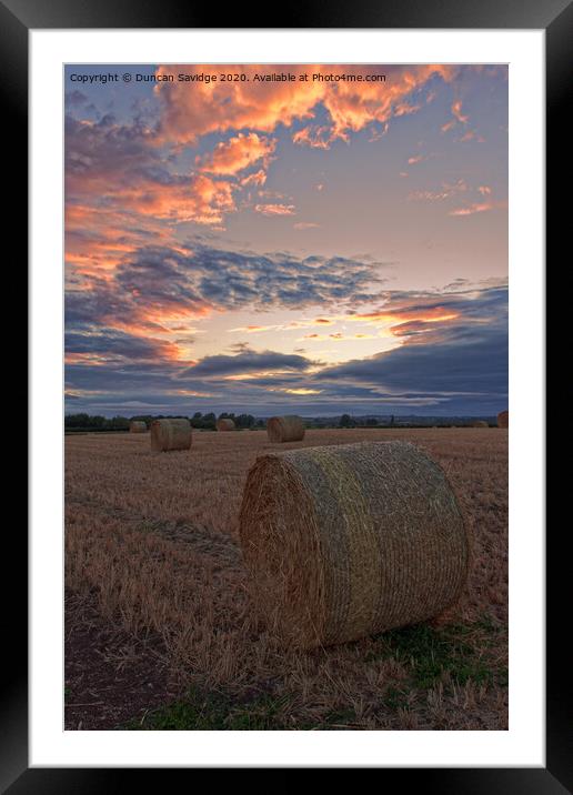 Harvest / hay bale sunset portrait  Framed Mounted Print by Duncan Savidge