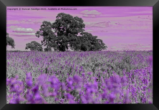 Artistic lavender farm Framed Print by Duncan Savidge