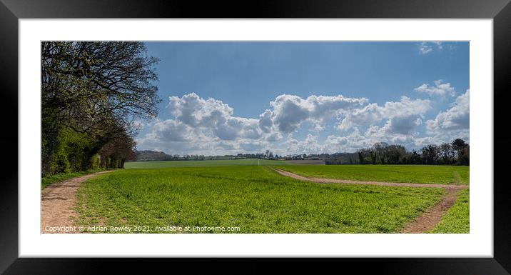 The wheat fields Framed Mounted Print by Adrian Rowley