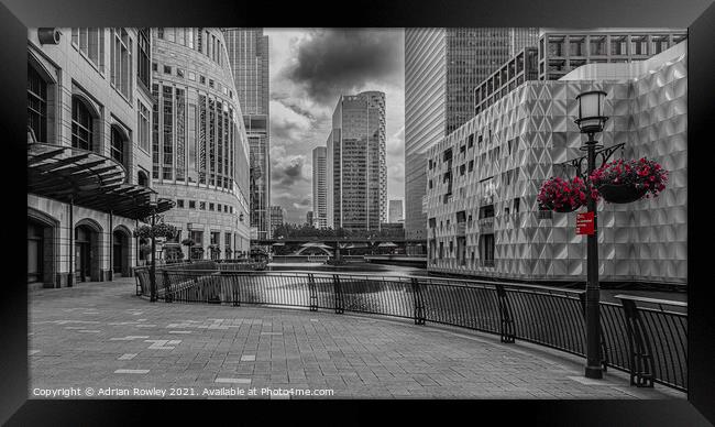 Canary Wharf, London in monochrome with selected colour Framed Print by Adrian Rowley