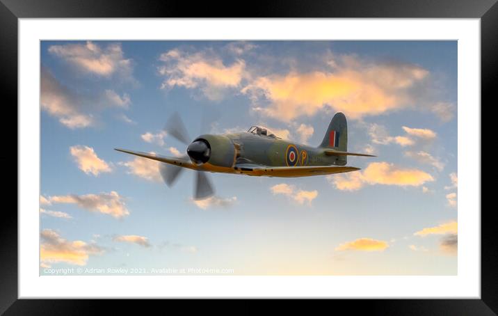 Hawker Sea Fury Framed Mounted Print by Adrian Rowley