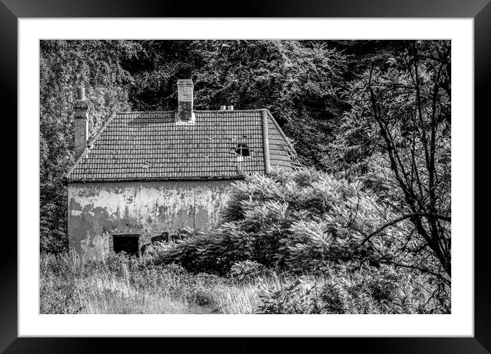 Abandoned Forrest House Framed Mounted Print by Paul Grove
