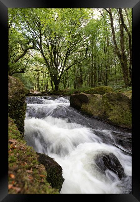 Golitha Falls in Draynes wood Bodmin Moor Framed Print by Jim Peters