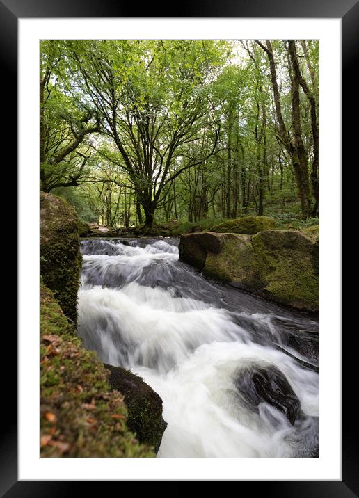 Golitha Falls in Draynes wood Bodmin Moor Framed Mounted Print by Jim Peters