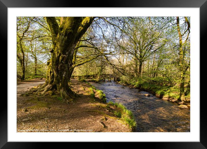 Spring sunshine on the river Fowey at Golitha falls Framed Mounted Print by Jim Peters