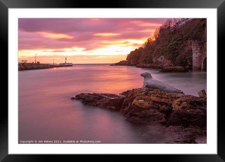 Nelson watching the sunrise in Looe Harbour Cornwall Framed Mounted Print by Jim Peters