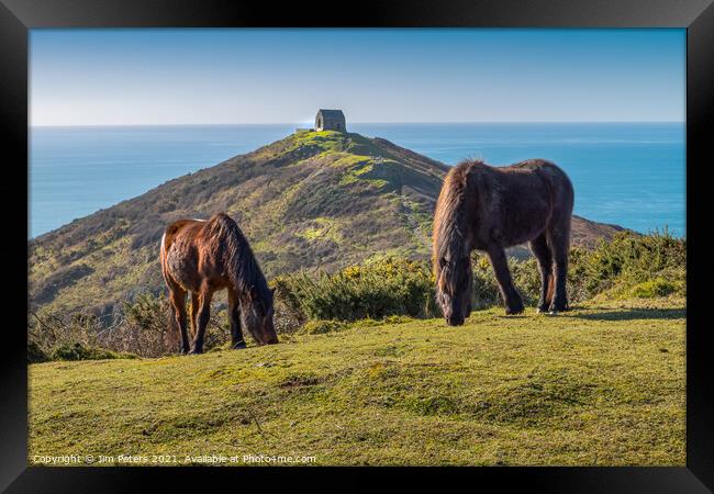 Horses at Rame Head Cornwall Framed Print by Jim Peters