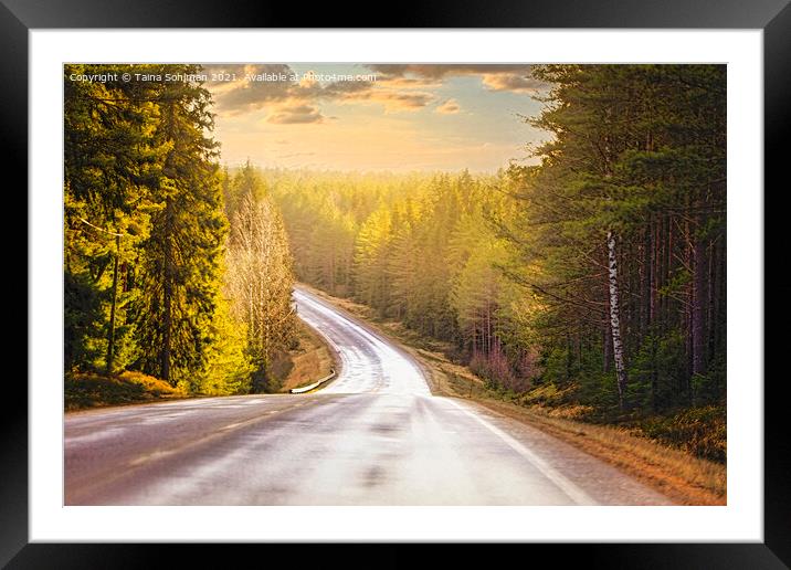 Winter Sunlight on Highway 52 Framed Mounted Print by Taina Sohlman