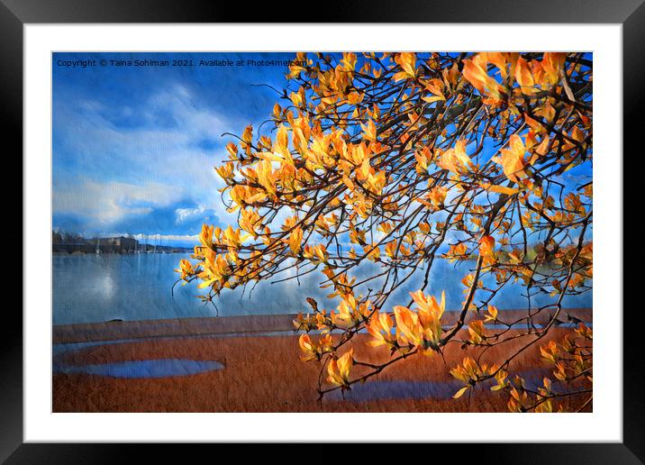Budding Leaves After the Rain Framed Mounted Print by Taina Sohlman