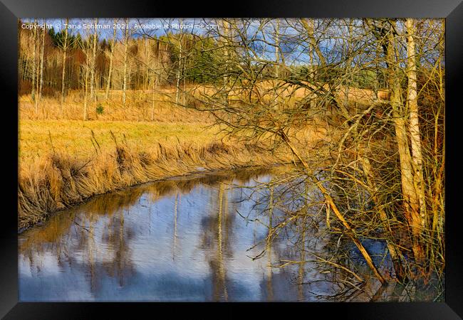 Calm Rural River in Golden Sunlight Framed Print by Taina Sohlman