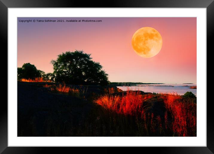 Full Moon and Golden Light on Grass Framed Mounted Print by Taina Sohlman