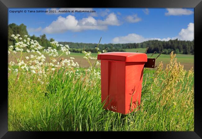 Red Mailbox in the Country Framed Print by Taina Sohlman