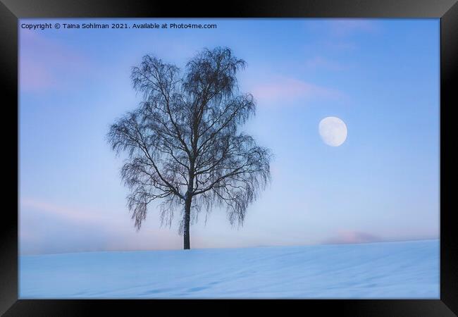 Birch Tree and The Moon in Winter Blue Hour Framed Print by Taina Sohlman