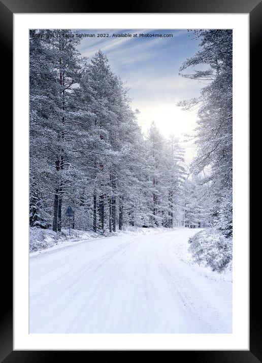 Winter Sun Over Forest Road Framed Mounted Print by Taina Sohlman