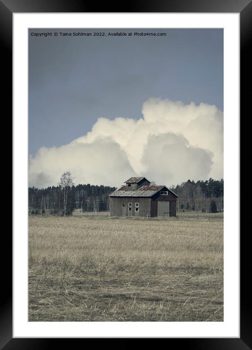 Isolated Barn in Field in the Spring Framed Mounted Print by Taina Sohlman