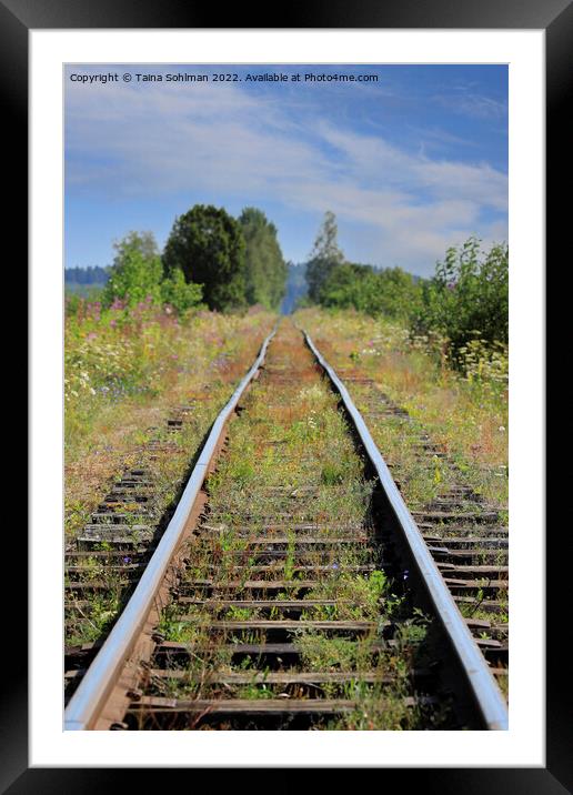 Narrow Gauge Railway in the Summer  Framed Mounted Print by Taina Sohlman