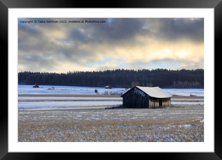 Wooden Barn Under Moody Sky in Winter  Framed Mounted Print by Taina Sohlman