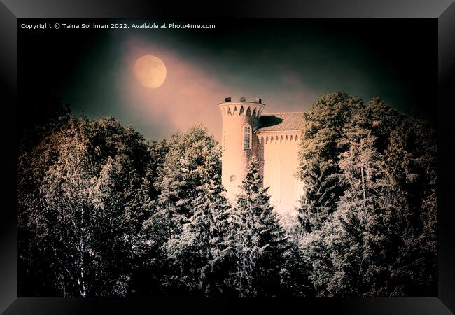 Hirvilinna Castle in Moonlight Framed Print by Taina Sohlman