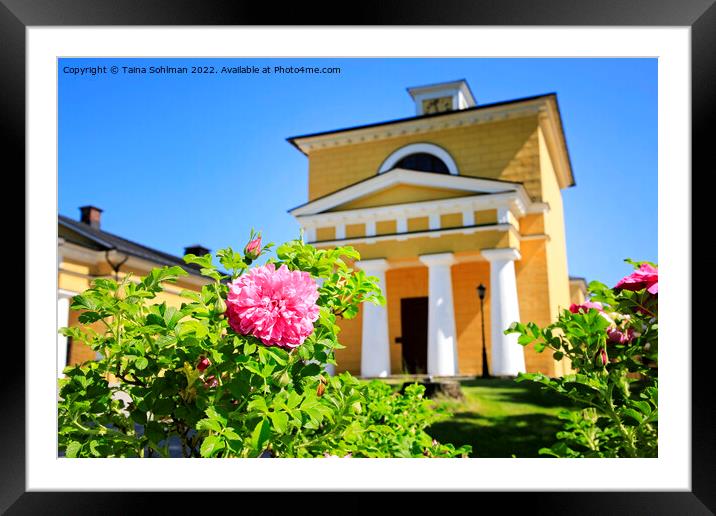 Roses in Front of Wiurila Manor  Framed Mounted Print by Taina Sohlman