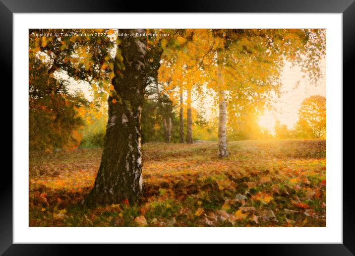 Autumn Impressions 1 Framed Mounted Print by Taina Sohlman