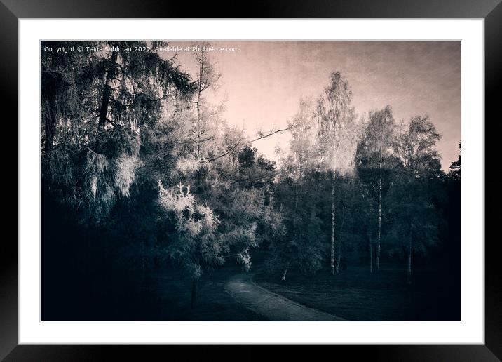 Autumn Impressions 2 Monochrome Framed Mounted Print by Taina Sohlman