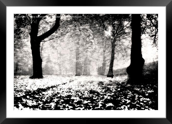 Fallen Leaves Illuminate The Park Framed Mounted Print by Taina Sohlman