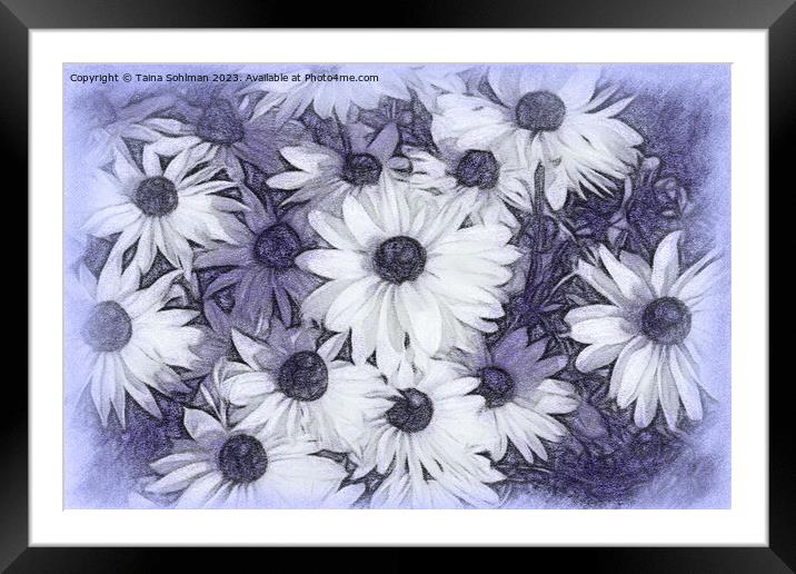 Rudbeckia Flowers Digital Art in Tones of Lavender Framed Mounted Print by Taina Sohlman