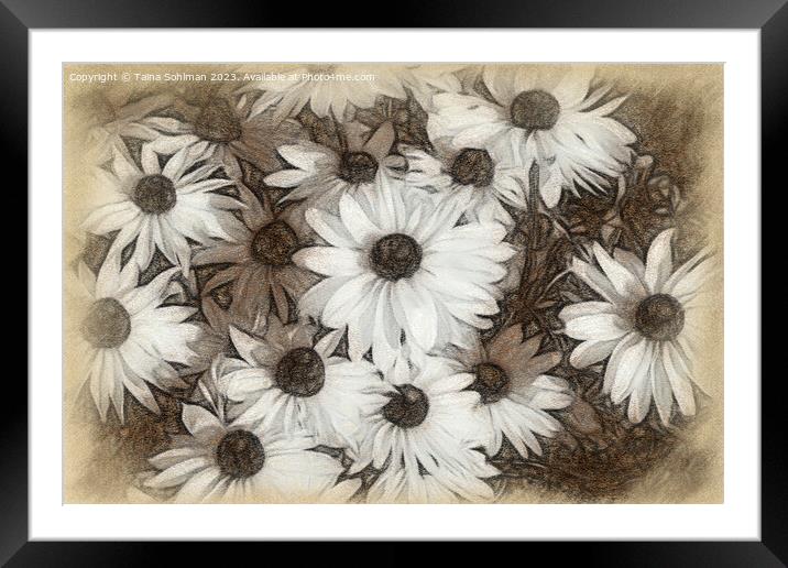 Rudbeckia Flowers Digital Art in Tones of Sepia Framed Mounted Print by Taina Sohlman