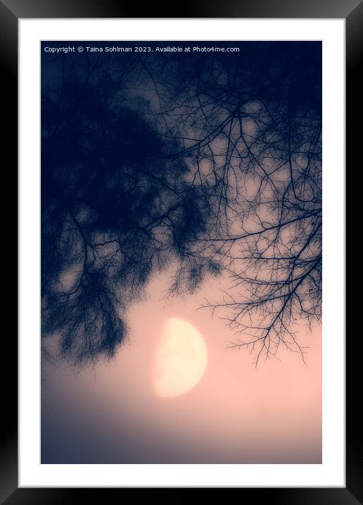 Misty February Moon in the Pink Sky Vertical Framed Mounted Print by Taina Sohlman