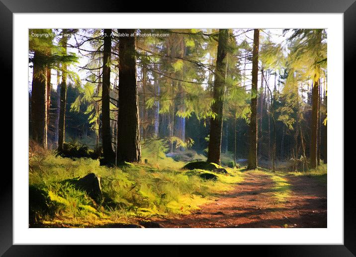 Light in Forest Framed Mounted Print by Taina Sohlman