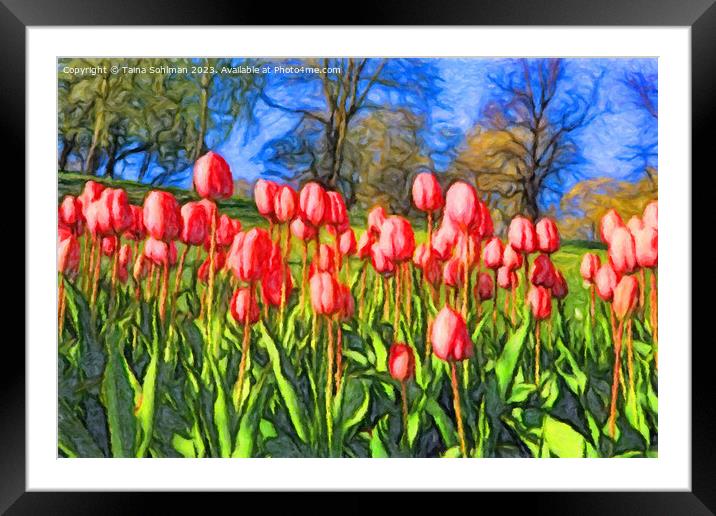 Pink Tulips in the Spring Impressions Framed Mounted Print by Taina Sohlman