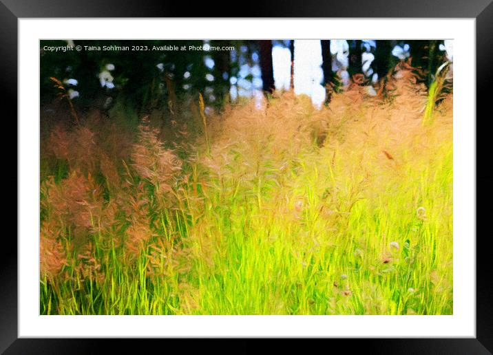 Sunlight on Grass Abstract Framed Mounted Print by Taina Sohlman