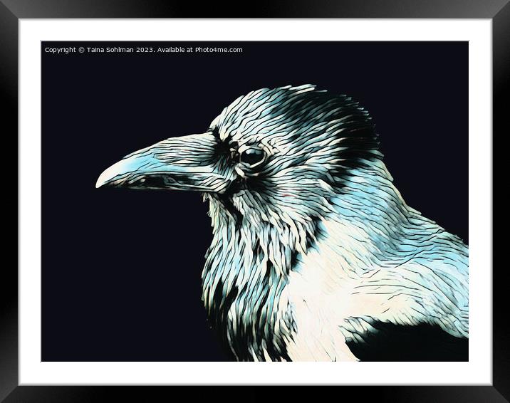 The Wise Crow  Framed Mounted Print by Taina Sohlman