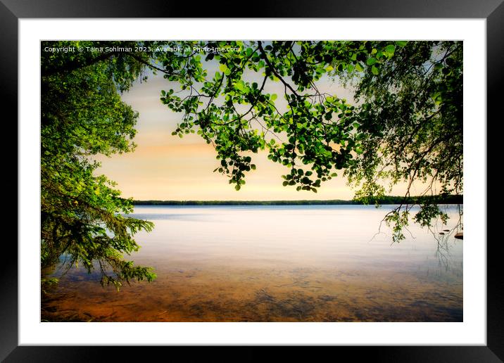 Endless Summer Night Framed Mounted Print by Taina Sohlman