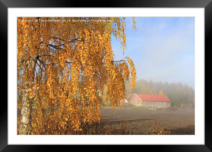 Autumnal Landscape with Morning Mist Framed Mounted Print by Taina Sohlman