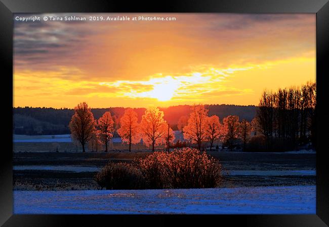 Colours of Winter Sunset Framed Print by Taina Sohlman