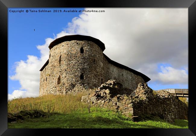 Medieval Raseborg Castle Ruins on a Rock Framed Print by Taina Sohlman