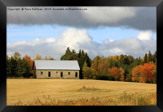 October Afternoon in the Country Framed Print by Taina Sohlman