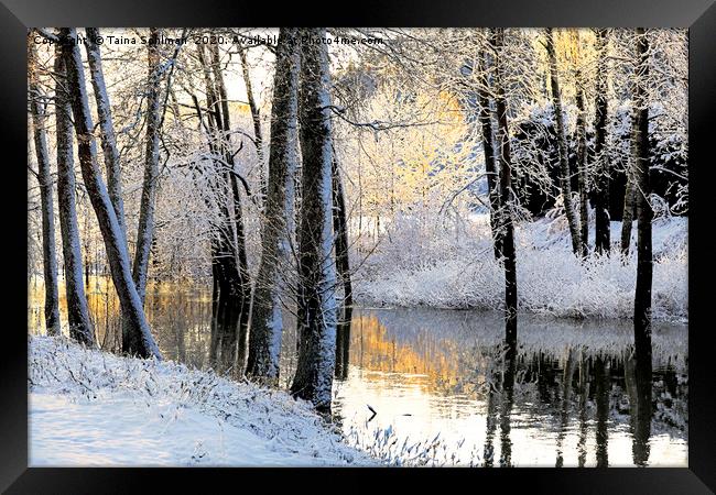 River in Winter Pastels, Watercolour Framed Print by Taina Sohlman