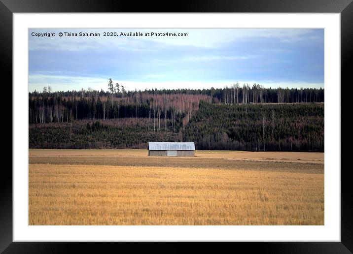 Lonely Barn in Field Framed Mounted Print by Taina Sohlman