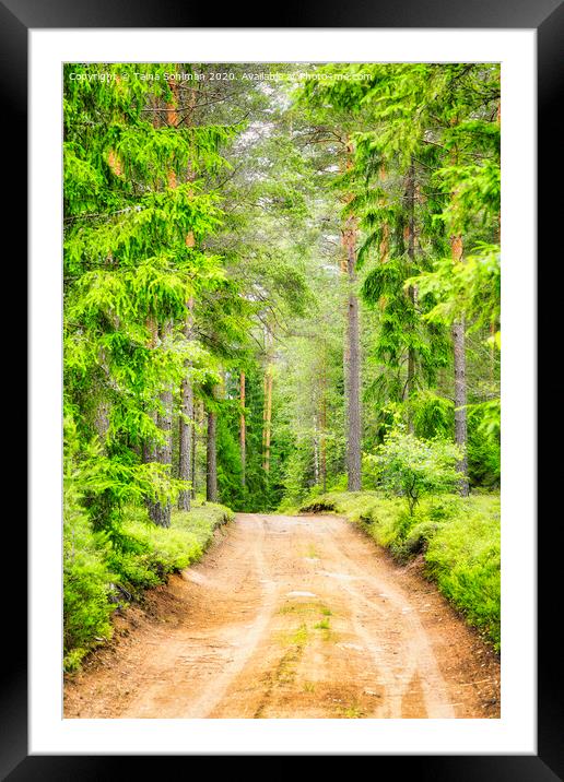 Green Forest Road Framed Mounted Print by Taina Sohlman