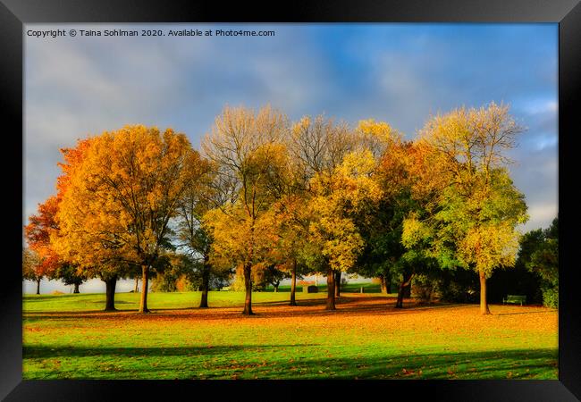Beautiful Colours of Autumn in the Park Framed Print by Taina Sohlman
